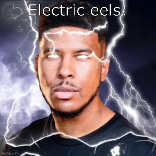 LowTierGod | Electric eels: | image tagged in lowtiergod | made w/ Imgflip meme maker