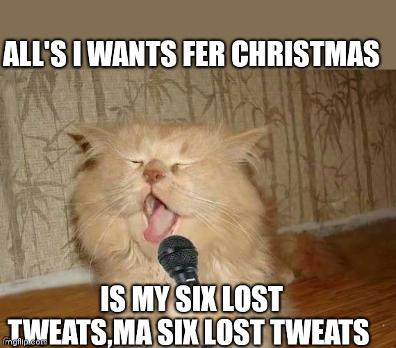 Cat Singing | ALL'S I WANTS FER CHRISTMAS; IS MY SIX LOST TWEATS,MA SIX LOST TWEATS | image tagged in cat singing | made w/ Imgflip meme maker