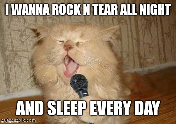 Cat Singing | I WANNA ROCK N TEAR ALL NIGHT; AND SLEEP EVERY DAY | image tagged in cat singing | made w/ Imgflip meme maker