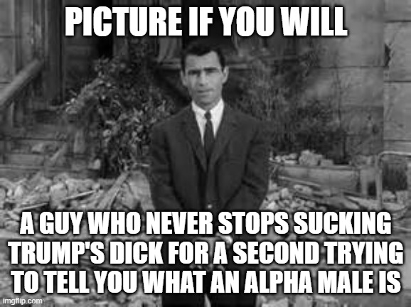 Rod Serling Twillight Zone  | PICTURE IF YOU WILL; A GUY WHO NEVER STOPS SUCKING TRUMP'S DICK FOR A SECOND TRYING TO TELL YOU WHAT AN ALPHA MALE IS | image tagged in rod serling twillight zone | made w/ Imgflip meme maker