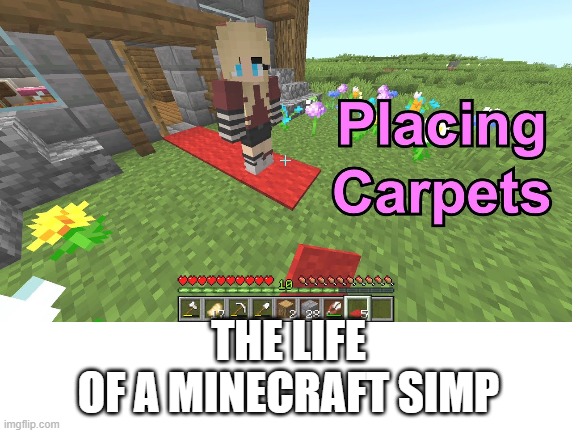 simp | THE LIFE
OF A MINECRAFT SIMP | image tagged in minecraft,simp,gaming,no friends,no bitches | made w/ Imgflip meme maker