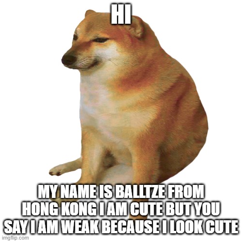 look up "balltze" i promise you will find him | HI; MY NAME IS BALLTZE FROM HONG KONG I AM CUTE BUT YOU SAY I AM WEAK BECAUSE I LOOK CUTE | image tagged in cheems | made w/ Imgflip meme maker