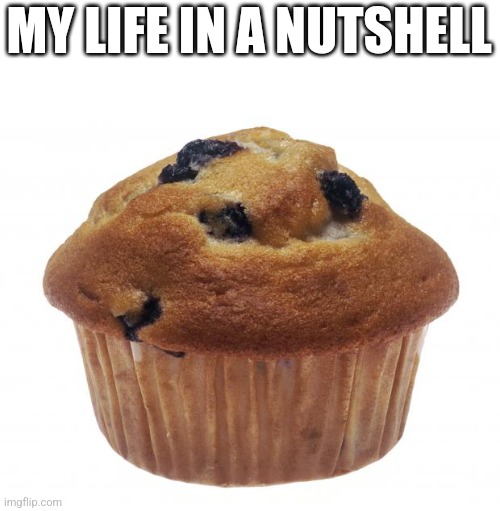 Popular Opinion Muffin | MY LIFE IN A NUTSHELL | image tagged in popular opinion muffin | made w/ Imgflip meme maker