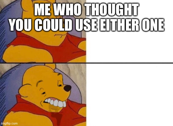 Winnie the Pooh Ok to Worst | ME WHO THOUGHT YOU COULD USE EITHER ONE | image tagged in winnie the pooh ok to worst | made w/ Imgflip meme maker