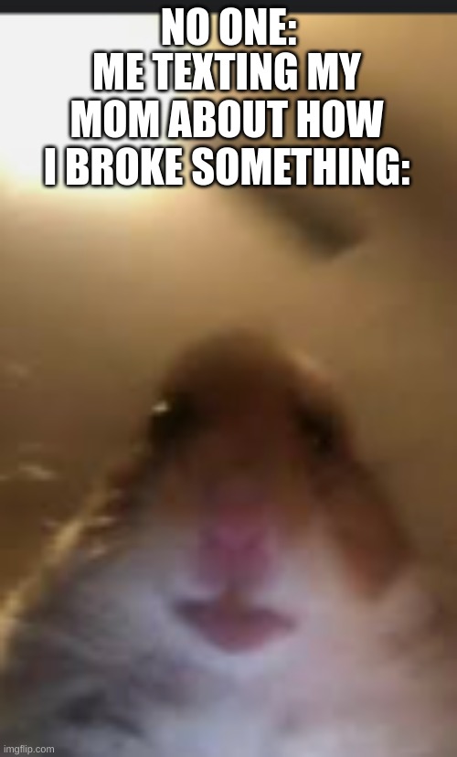 funny | ME TEXTING MY MOM ABOUT HOW I BROKE SOMETHING:; NO ONE: | image tagged in funny | made w/ Imgflip meme maker