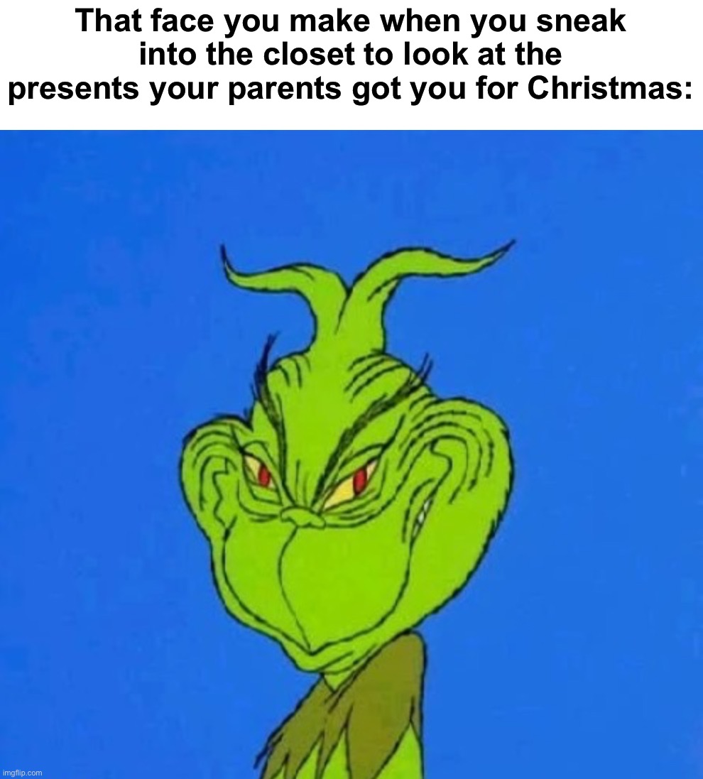 We’ve all done it at least once, right? | That face you make when you sneak into the closet to look at the presents your parents got you for Christmas: | image tagged in memes,funny,true story,relatable memes,christmas,christmas gifts | made w/ Imgflip meme maker