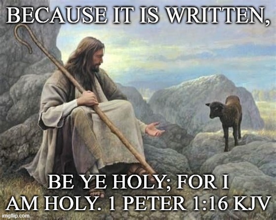 BECAUSE IT IS WRITTEN, BE YE HOLY; FOR I AM HOLY. 1 PETER 1:16 KJV | made w/ Imgflip meme maker