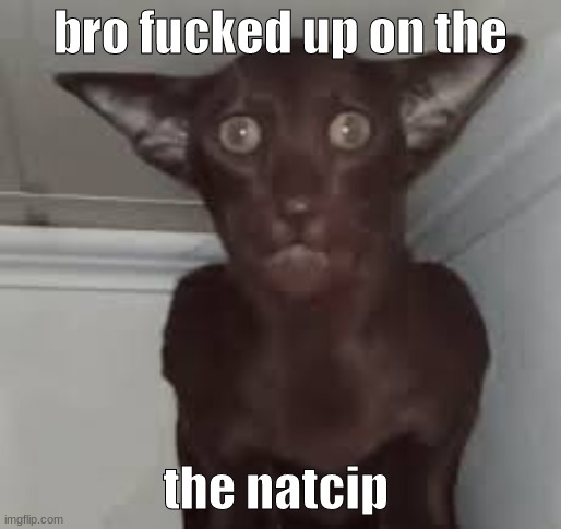 natcip | bro fucked up on the; the natcip | made w/ Imgflip meme maker