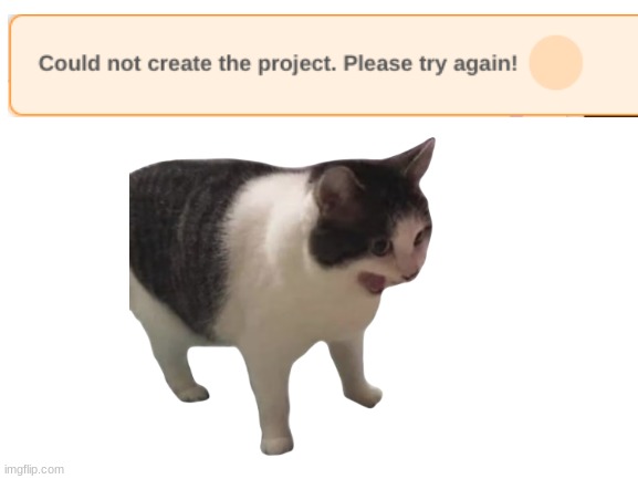 When you spend 15 hours on a project: | image tagged in scratch,cats,screaming,confused screaming,why,please help me | made w/ Imgflip meme maker