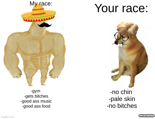 Buff Doge vs. Cheems | My race:; Your race:; -gym 
-gets bitches
-good ass music
-good ass food; -no chin 
-pale skin
-no bitches; mata los gabachos | image tagged in memes,buff doge vs cheems | made w/ Imgflip meme maker