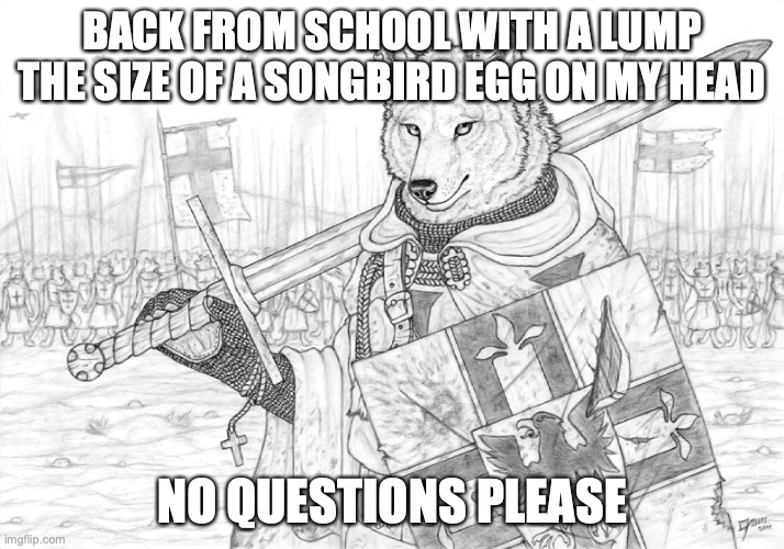 Fursader. | BACK FROM SCHOOL WITH A LUMP THE SIZE OF A SONGBIRD EGG ON MY HEAD; NO QUESTIONS PLEASE | image tagged in fursader | made w/ Imgflip meme maker