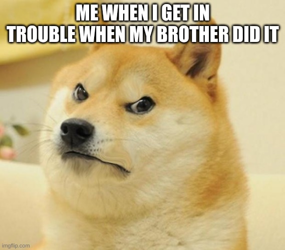 Mad doge | ME WHEN I GET IN TROUBLE WHEN MY BROTHER DID IT | image tagged in mad doge | made w/ Imgflip meme maker