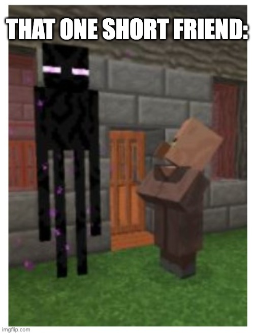 Short people be like... | THAT ONE SHORT FRIEND: | image tagged in meme,memes,minecraft | made w/ Imgflip meme maker