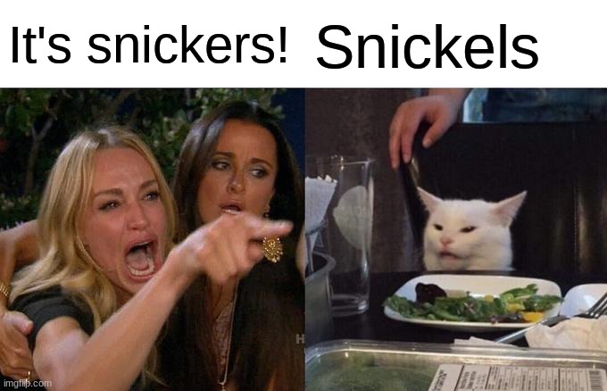 Woman Yelling At Cat Meme | It's snickers! Snickels | image tagged in memes,woman yelling at cat | made w/ Imgflip meme maker