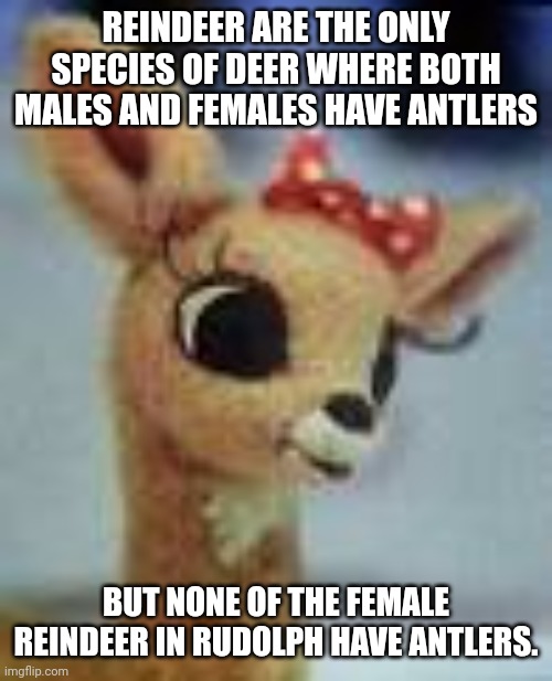 clarice rudolph | REINDEER ARE THE ONLY SPECIES OF DEER WHERE BOTH MALES AND FEMALES HAVE ANTLERS; BUT NONE OF THE FEMALE REINDEER IN RUDOLPH HAVE ANTLERS. | image tagged in clarice rudolph | made w/ Imgflip meme maker