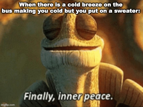 warmth *mmmm* | When there is a cold breeze on the bus making you cold but you put on a sweater: | image tagged in finally inner peace,master oogway,bus,cold,sweater,warm | made w/ Imgflip meme maker