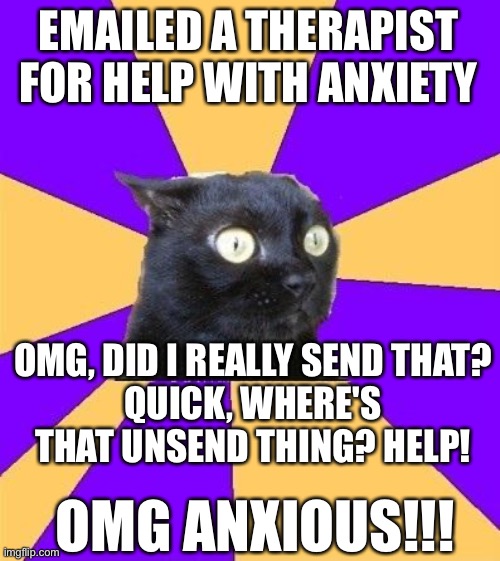 When you are so anxious that getting help for anxiety makes you more anxious. | EMAILED A THERAPIST FOR HELP WITH ANXIETY; OMG, DID I REALLY SEND THAT?
QUICK, WHERE'S THAT UNSEND THING? HELP! OMG ANXIOUS!!! | image tagged in anxiety cat,therapy,therapist,self-doubt,email,mental illness | made w/ Imgflip meme maker