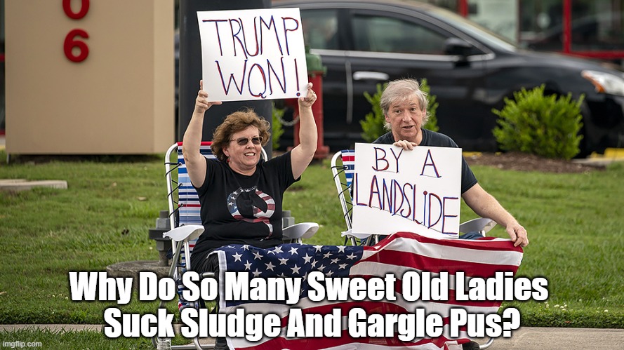 Why Do So Many Sweet Old Ladies... | Why Do So Many Sweet Old Ladies 
Suck Sludge And Gargle Pus? | made w/ Imgflip meme maker