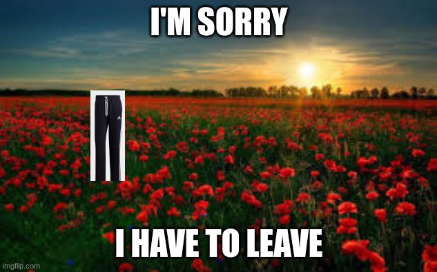 Roses Feild | I'M SORRY I HAVE TO LEAVE | image tagged in roses feild | made w/ Imgflip meme maker