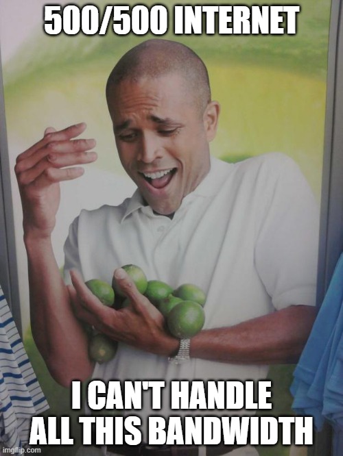 Why Can't I Hold All These Limes Meme | 500/500 INTERNET; I CAN'T HANDLE ALL THIS BANDWIDTH | image tagged in memes,why can't i hold all these limes | made w/ Imgflip meme maker