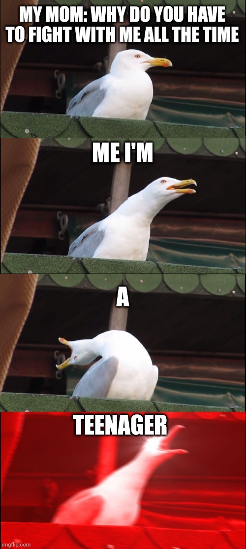 Inhaling Seagull | MY MOM: WHY DO YOU HAVE TO FIGHT WITH ME ALL THE TIME; ME I'M; A; TEENAGER | image tagged in memes,inhaling seagull | made w/ Imgflip meme maker