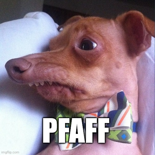 Overbite dog | PFAFF | image tagged in overbite dog | made w/ Imgflip meme maker