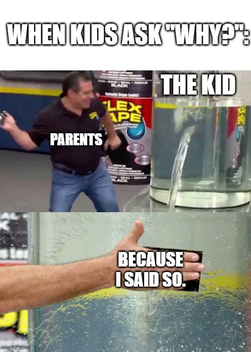 we need answers | WHEN KIDS ASK "WHY?":; THE KID; PARENTS; BECAUSE I SAID SO. | image tagged in flex tape | made w/ Imgflip meme maker