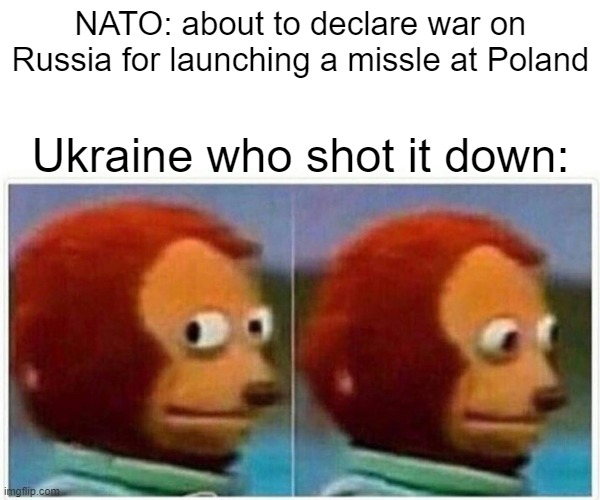 You're safe for now, Ukraine | NATO: about to declare war on Russia for launching a missle at Poland; Ukraine who shot it down: | image tagged in nato,ukraine,russia,poland,missle | made w/ Imgflip meme maker