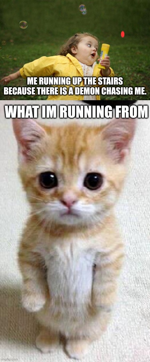 ME RUNNING UP THE STAIRS BECAUSE THERE IS A DEMON CHASING ME. WHAT IM RUNNING FROM | image tagged in girl running,memes,cute cat | made w/ Imgflip meme maker