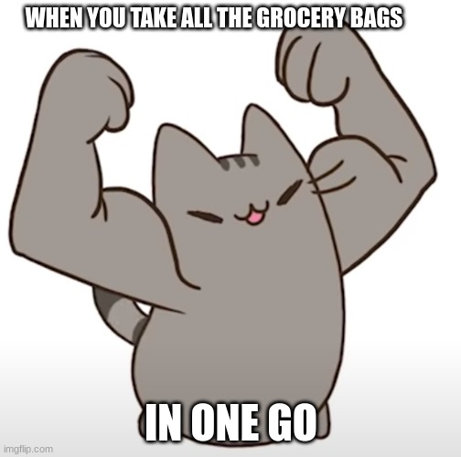 New template out | WHEN YOU TAKE ALL THE GROCERY BAGS; IN ONE GO | image tagged in buff pusheen,pusheen,strong | made w/ Imgflip meme maker