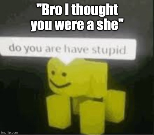 do you are have stupid | "Bro I thought you were a she" | image tagged in do you are have stupid | made w/ Imgflip meme maker
