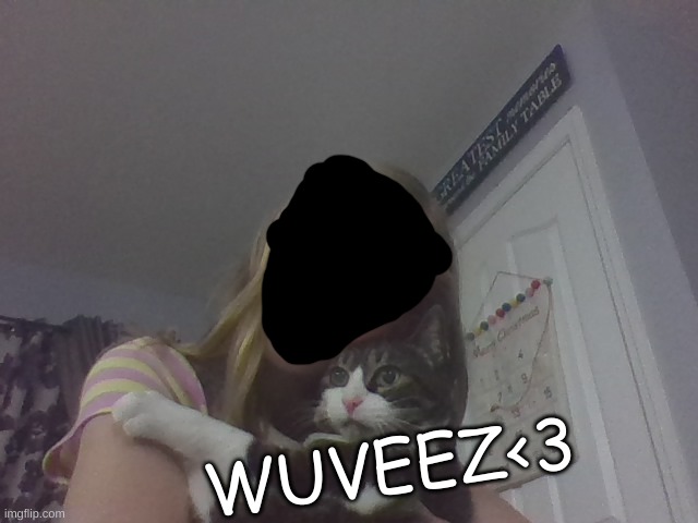 my best friend since 2010 | WUVEEZ<3 | image tagged in cats,love,bffs | made w/ Imgflip meme maker