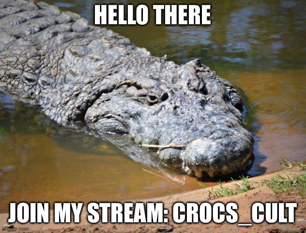 Link in comments | HELLO THERE; JOIN MY STREAM: CROCS_CULT | image tagged in crocodile | made w/ Imgflip meme maker