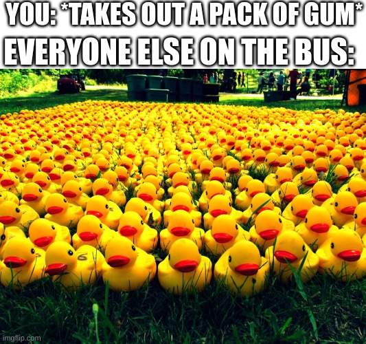me: can't y'all buy ur own? | YOU: *TAKES OUT A PACK OF GUM*; EVERYONE ELSE ON THE BUS: | image tagged in rubber ducky army | made w/ Imgflip meme maker