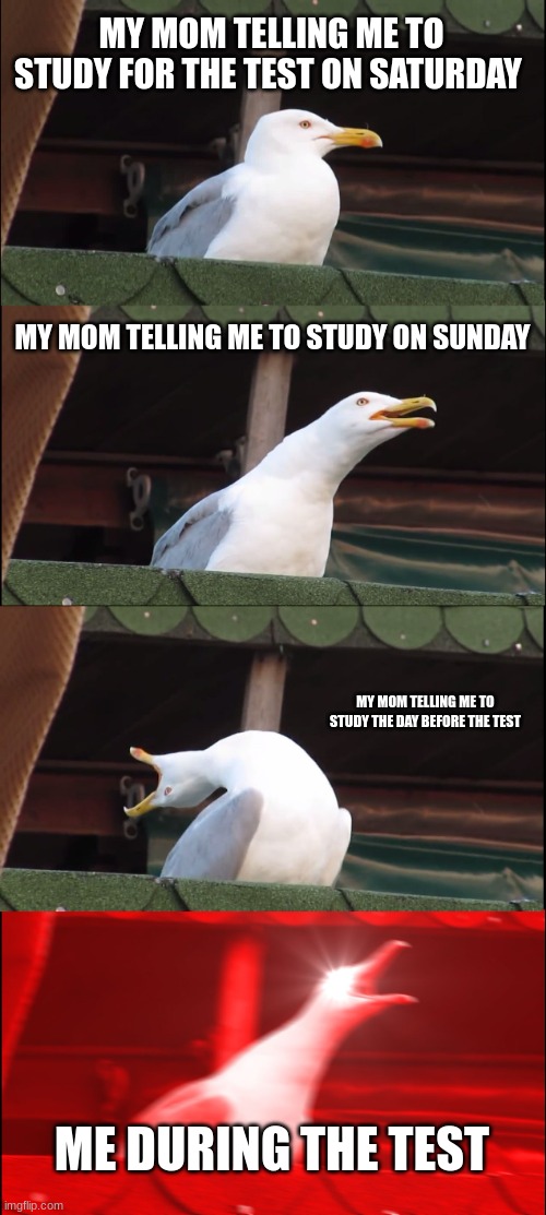 Study | MY MOM TELLING ME TO STUDY FOR THE TEST ON SATURDAY; MY MOM TELLING ME TO STUDY ON SUNDAY; MY MOM TELLING ME TO STUDY THE DAY BEFORE THE TEST; ME DURING THE TEST | image tagged in memes,inhaling seagull | made w/ Imgflip meme maker