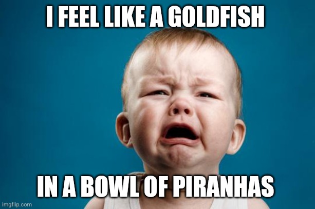 BABY CRYING | I FEEL LIKE A GOLDFISH; IN A BOWL OF PIRANHAS | image tagged in baby crying | made w/ Imgflip meme maker