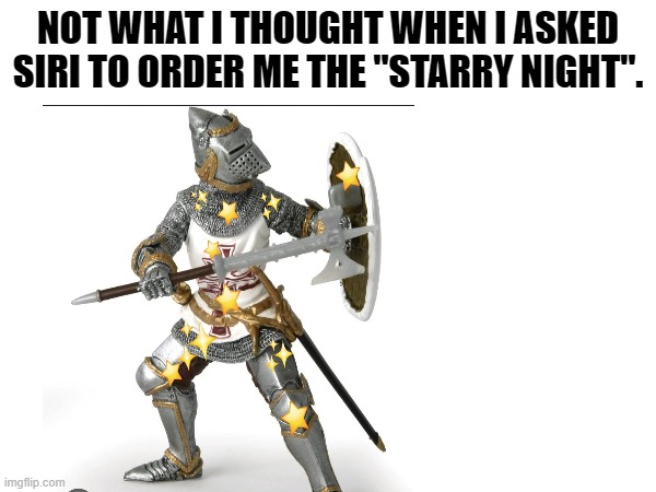 Starry Knight | NOT WHAT I THOUGHT WHEN I ASKED SIRI TO ORDER ME THE "STARRY NIGHT". | image tagged in knight | made w/ Imgflip meme maker