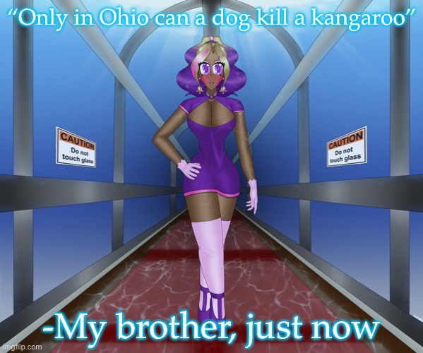 Kashiko in the underwater hall | “Only in Ohio can a dog kill a kangaroo”; -My brother, just now | image tagged in kashiko in the underwater hall | made w/ Imgflip meme maker