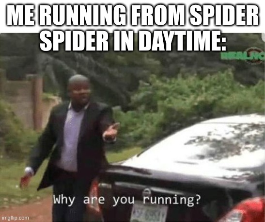 why are you running | ME RUNNING FROM SPIDER
SPIDER IN DAYTIME: | image tagged in why are you running | made w/ Imgflip meme maker