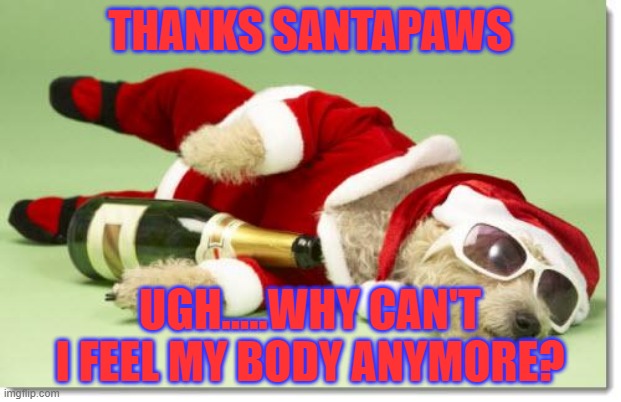 Drunk from too much wine | THANKS SANTAPAWS; UGH.....WHY CAN'T I FEEL MY BODY ANYMORE? | image tagged in christmas drunk dog | made w/ Imgflip meme maker