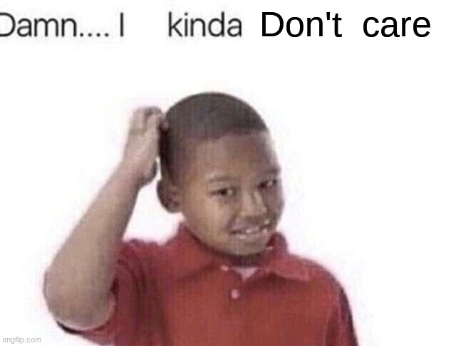 Damn I kinda don’t meme | Don't  care | image tagged in damn i kinda don t meme | made w/ Imgflip meme maker