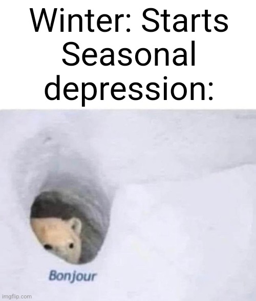 Bonjour | Winter: Starts
Seasonal depression: | image tagged in bonjour | made w/ Imgflip meme maker
