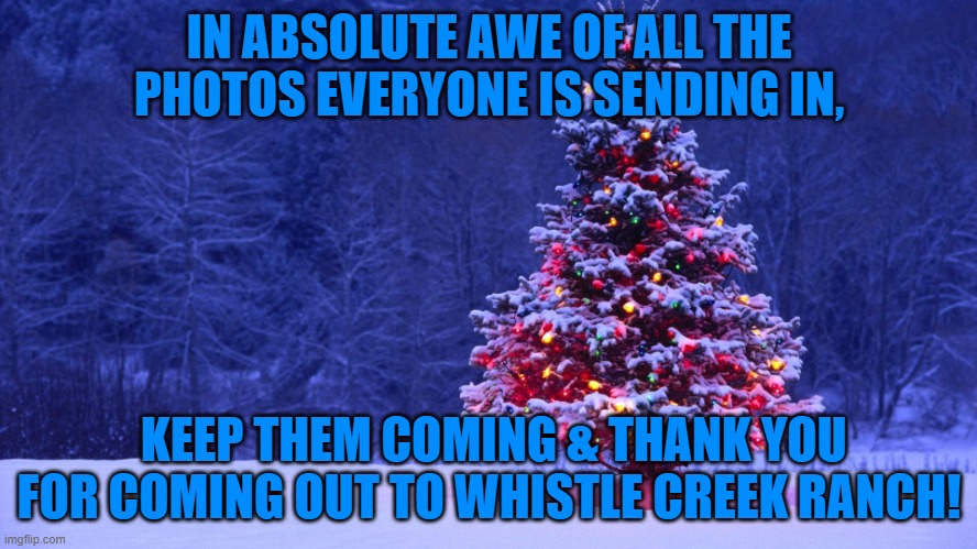 Christmas Tree | IN ABSOLUTE AWE OF ALL THE PHOTOS EVERYONE IS SENDING IN, KEEP THEM COMING & THANK YOU FOR COMING OUT TO WHISTLE CREEK RANCH! | image tagged in christmas tree | made w/ Imgflip meme maker