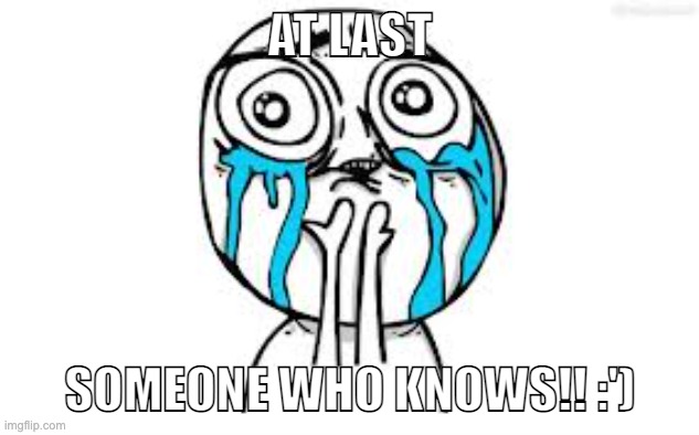 Crying Because Of Cute Meme | AT LAST SOMEONE WHO KNOWS!! :') | image tagged in memes,crying because of cute | made w/ Imgflip meme maker