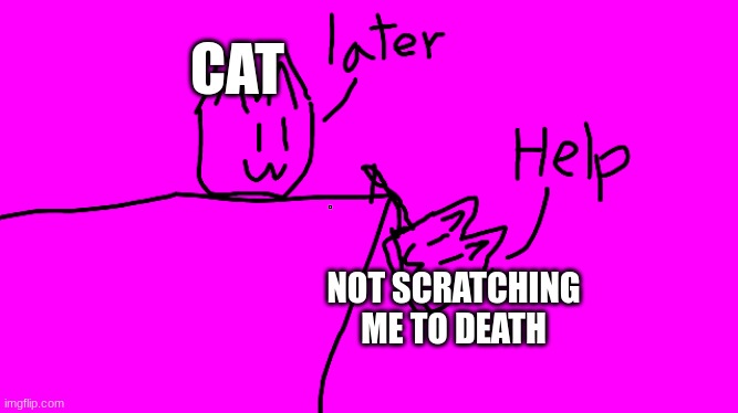 Help | CAT; NOT SCRATCHING ME TO DEATH | image tagged in help | made w/ Imgflip meme maker