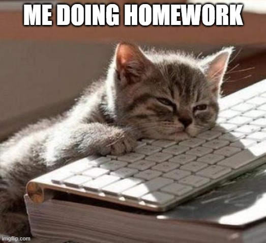 sleeeeeeeeepy | ME DOING HOMEWORK | image tagged in tired cat | made w/ Imgflip meme maker