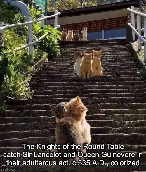 The Knights of the Round Table catch Sir Lancelot and Queen Guinevere in their adulterous act. c.535 A.D., colorized | image tagged in king arthur,cats,arthur,medieval,knights of the round table | made w/ Imgflip meme maker