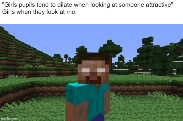 Herobrine | "Girls pupils tend to dilate when looking at someone attractive"
Girls when they look at me: | image tagged in herobrine,repost,relatable,girls | made w/ Imgflip meme maker