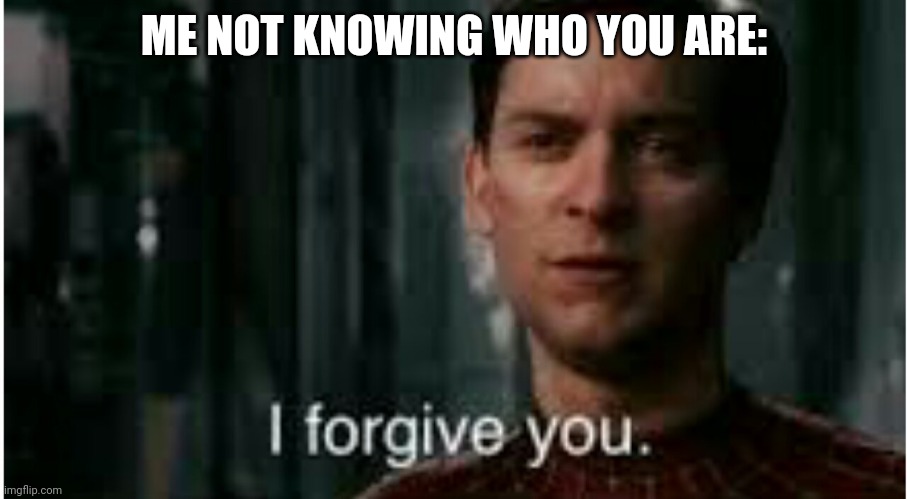 I forgive you | ME NOT KNOWING WHO YOU ARE: | image tagged in i forgive you | made w/ Imgflip meme maker