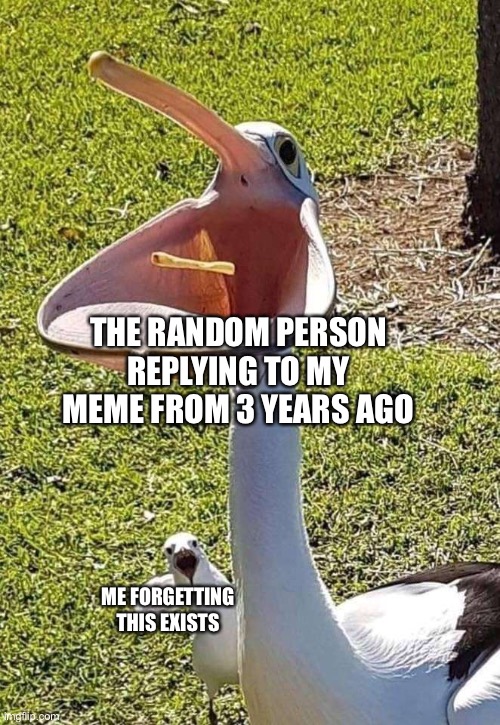 the return of the probably forgotten person | THE RANDOM PERSON REPLYING TO MY MEME FROM 3 YEARS AGO; ME FORGETTING THIS EXISTS | image tagged in pelican mouth | made w/ Imgflip meme maker